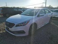5NPE34AF1GH299552 2016 HYUNDAI SONATA