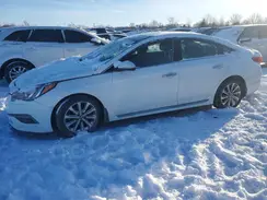 5NPE34AF1GH317919 2016 HYUNDAI SONATA
