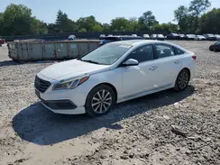 5NPE34AF1GH325535 2016 HYUNDAI SONATA