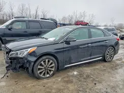 5NPE34AF1GH336390 2016 HYUNDAI SONATA