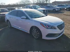 5NPE34AF1GH342173 2016 HYUNDAI SONATA