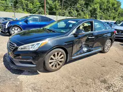 5NPE34AF1GH423884 2016 HYUNDAI SONATA