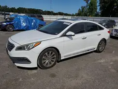 5NPE34AF1HH441867 2017 HYUNDAI SONATA