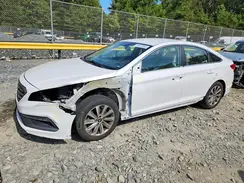 5NPE34AF1HH459768 2017 HYUNDAI SONATA