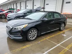 5NPE34AF1HH467904 2017 HYUNDAI SONATA