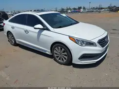 5NPE34AF1HH477168 2017 HYUNDAI SONATA