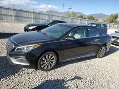 5NPE34AF1HH480264 2017 HYUNDAI SONATA
