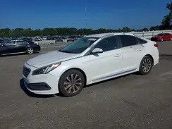 5NPE34AF1HH498506 2017 HYUNDAI SONATA
