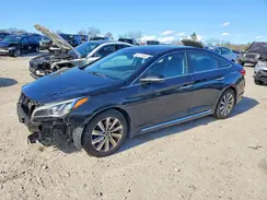 5NPE34AF1HH503686 2017 HYUNDAI SONATA