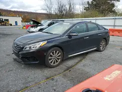 5NPE34AF1HH507852 2017 HYUNDAI SONATA