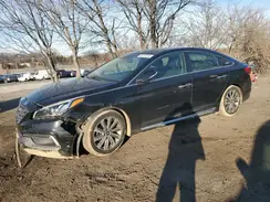 5NPE34AF1HH529303 2017 HYUNDAI SONATA