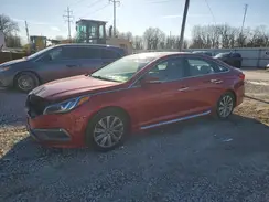 5NPE34AF1HH549258 2017 HYUNDAI SONATA