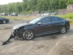 5NPE34AF1JH707202 2018 HYUNDAI SONATA