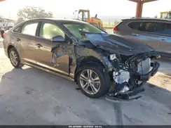 5NPE34AF1JH719446 2018 HYUNDAI SONATA