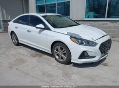 5NPE34AF1KH731047 2019 HYUNDAI SONATA