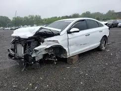 5NPE34AF1KH747023 2019 HYUNDAI SONATA