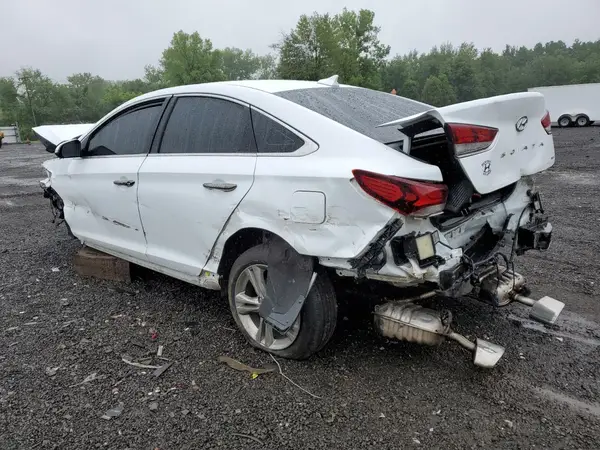 5NPE34AF1KH747023 2019 HYUNDAI SONATA - Image 2