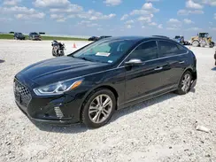 5NPE34AF1KH747975 2019 HYUNDAI SONATA