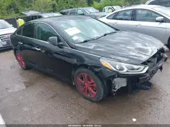 5NPE34AF1KH749676 2019 HYUNDAI SONATA
