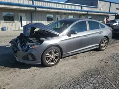 5NPE34AF1KH759947 2019 HYUNDAI SONATA