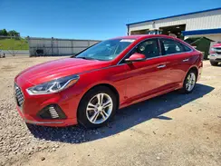 5NPE34AF1KH767983 2019 HYUNDAI SONATA