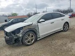 5NPE34AF1KH773136 2019 HYUNDAI SONATA