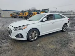 5NPE34AF1KH775291 2019 HYUNDAI SONATA