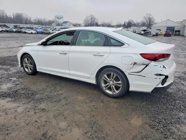 5NPE34AF1KH775291 2019 HYUNDAI SONATA - Image 2
