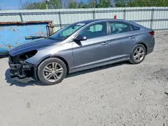 5NPE34AF1KH775498 2019 HYUNDAI SONATA