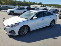 5NPE34AF1KH781494 2019 HYUNDAI SONATA