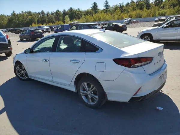 5NPE34AF1KH781494 2019 HYUNDAI SONATA - Image 2