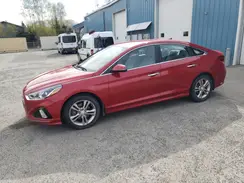 5NPE34AF1KH783164 2019 HYUNDAI SONATA