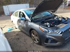 5NPE34AF1KH784492 2019 HYUNDAI SONATA