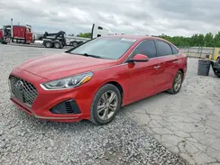 5NPE34AF1KH786811 2019 HYUNDAI SONATA