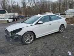 5NPE34AF1KH792964 2019 HYUNDAI SONATA