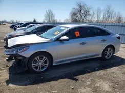 5NPE34AF1KH793614 2019 HYUNDAI SONATA