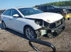 5NPE34AF1KH805258 2019 HYUNDAI SONATA