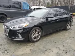 5NPE34AF1KH807463 2019 HYUNDAI SONATA