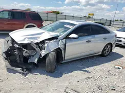 5NPE34AF1KH807558 2019 HYUNDAI SONATA