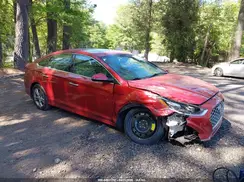 5NPE34AF1KH810248 2019 HYUNDAI SONATA