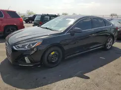 5NPE34AF1KH810346 2019 HYUNDAI SONATA