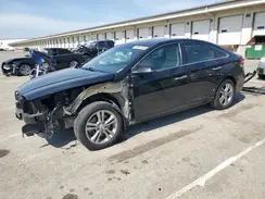 5NPE34AF1KH811769 2019 HYUNDAI SONATA
