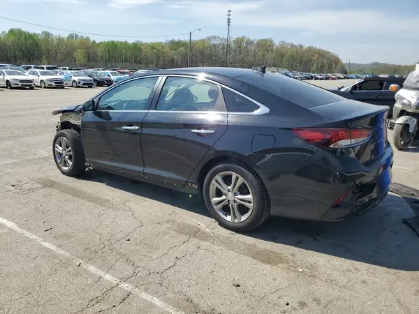 5NPE34AF1KH811769 2019 HYUNDAI SONATA - Image 2