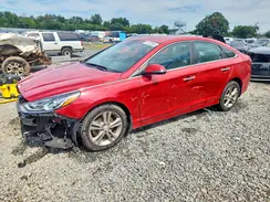 5NPE34AF1KH811786 2019 HYUNDAI SONATA