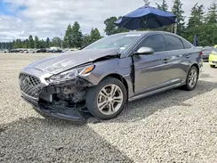 5NPE34AF1KH812923 2019 HYUNDAI SONATA