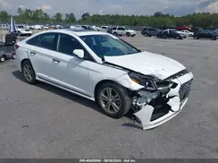 5NPE34AF1KH813361 2019 HYUNDAI SONATA