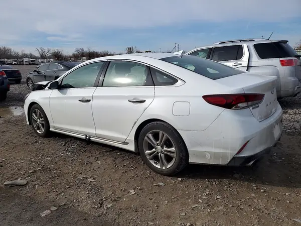 5NPE34AF1KH817717 2019 HYUNDAI SONATA - Image 2