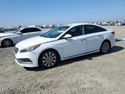 5NPE34AF2GH266429 2016 HYUNDAI SONATA