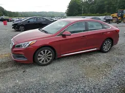 5NPE34AF2GH282887 2016 HYUNDAI SONATA
