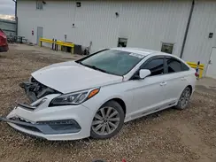 5NPE34AF2GH382911 2016 HYUNDAI SONATA